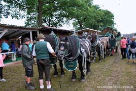 Wernesgrüner Brauereigespann