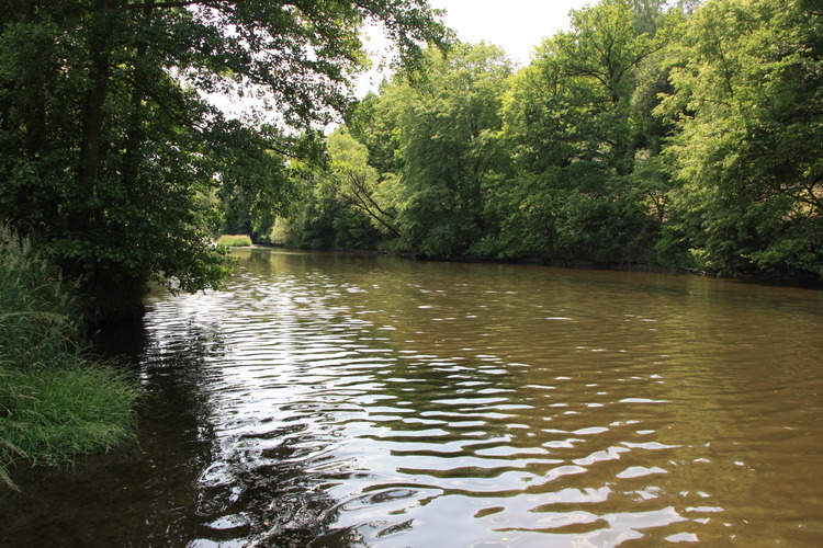 Weiße Elster bei Neumühle/Greiz