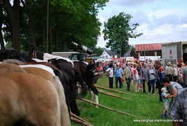 Pferdemarkt 23