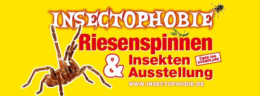 gelbe Anzeige der Riesenspinnen & Insekten Ausstellung 