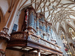 Schlosskirche Altenburg mit Trost-Orgel